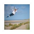 Peter Lynn Twister 4-Leiner mit Handles 4m
