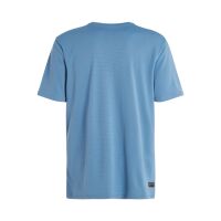 Protest Herren Surf T-Shirt PRTLEGUNDI blau XL