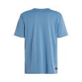 Protest Herren Surf T-Shirt PRTLEGUNDI blau XL
