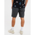 Protest Herren Shorts PRTCOMIE grau S